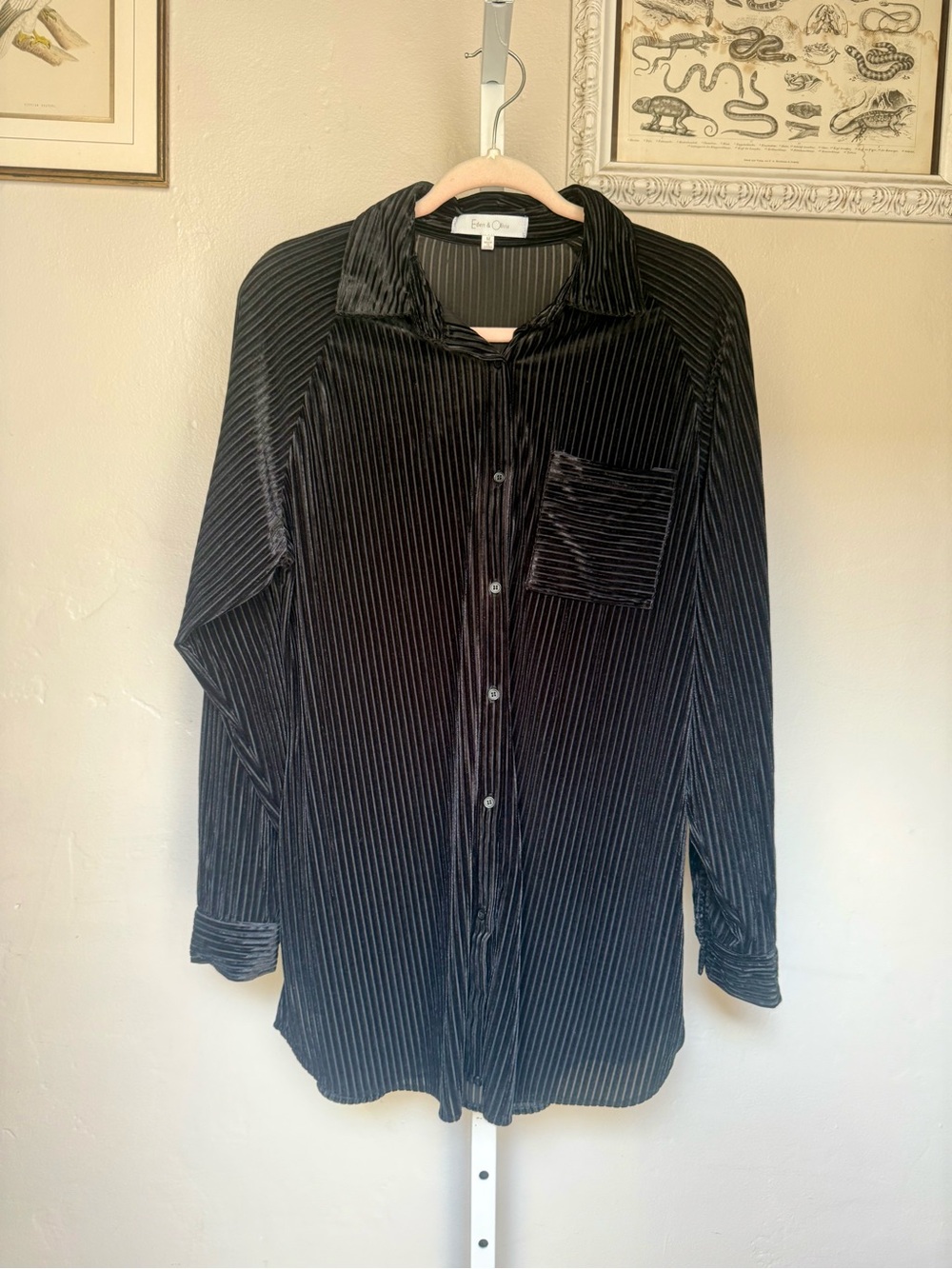Eden & Olivia Black Velvet Ribbed Button-Front Blouse Super Soft Medium
